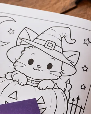 Gatito brujo en la cerca